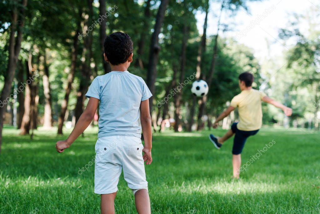 Kinder spielen im Wald und sammeln Naturmaterialien